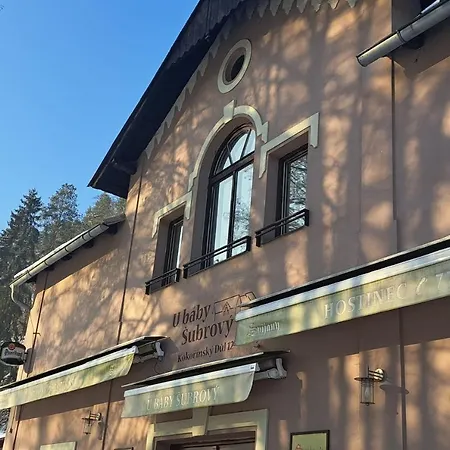 Penzion A Restaurace U Baby Subrovy Гостевой дом